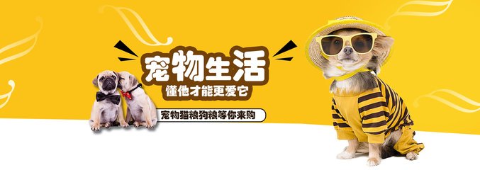 黄大仙精准一肖一码今天生肖